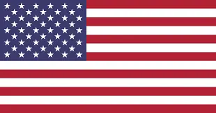 american flag-Leesburg