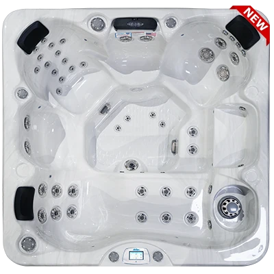 Avalon-X EC-849LX hot tubs for sale in Leesburg